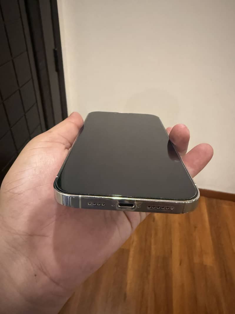 Apple iPhone 13 Pro Max 1