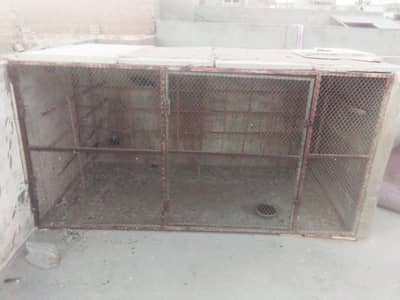 kabutar home