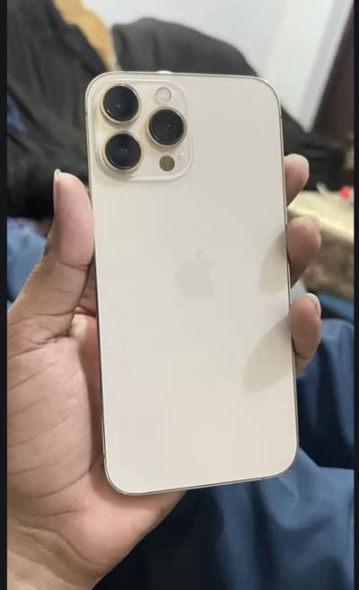 Apple iPhone 13 Pro Max