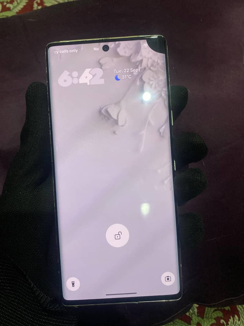 Google Pixel 6 Pro 1