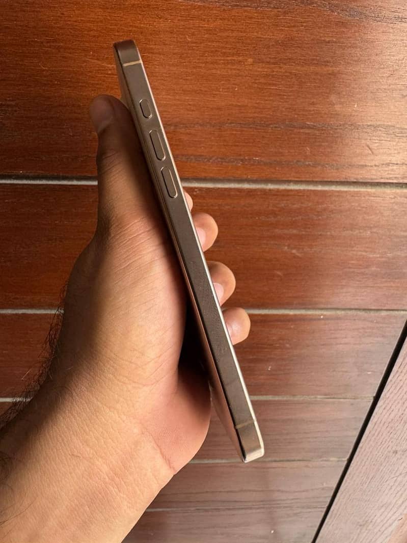 Apple iPhone 16 Pro Max 2