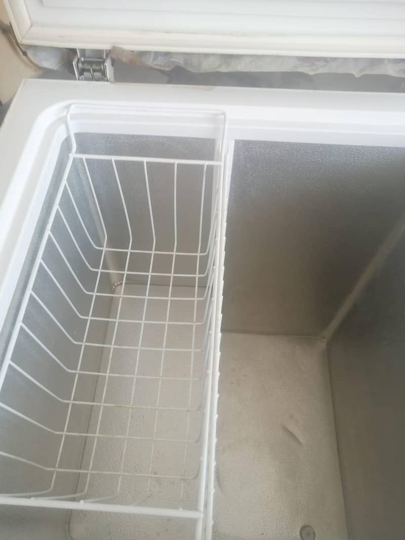freezer 4