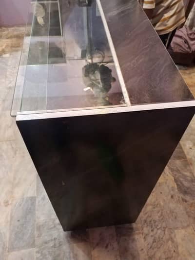 cosmetic counter