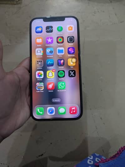 Apple iPhone 12 Pro Max