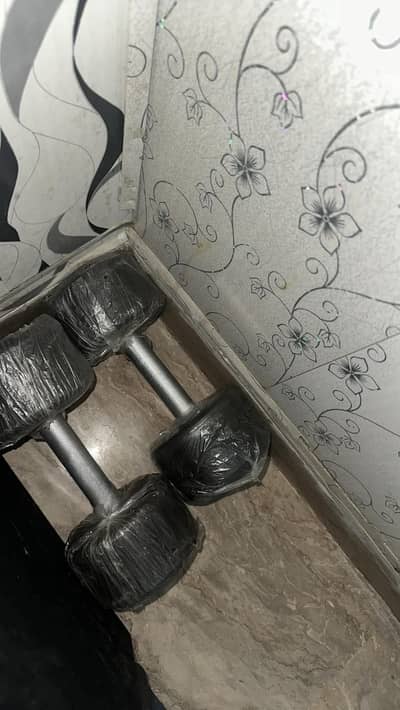 6kg dumbbells