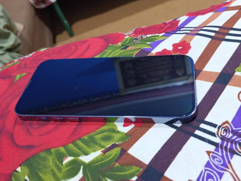 Apple iPhone 13 Pro Max 2
