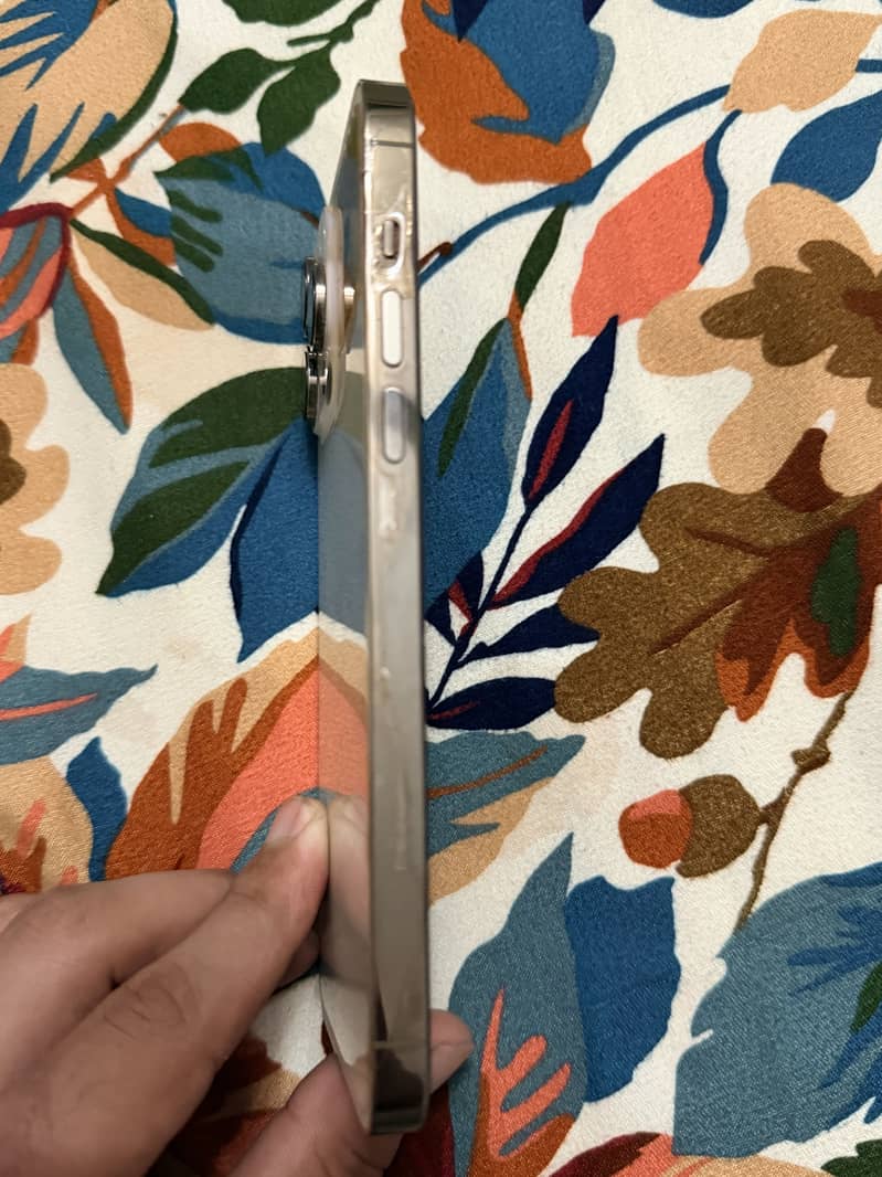 Apple iPhone 14 Pro Max 3