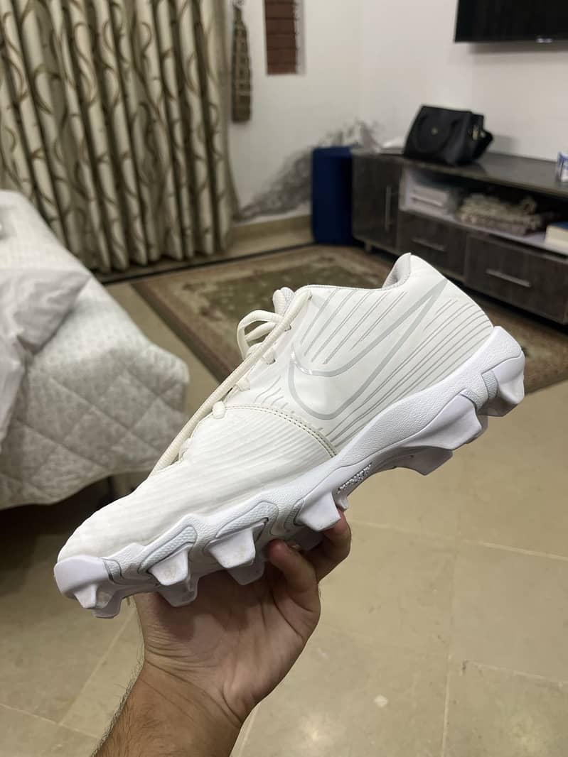 Nike FASTFLEX 0
