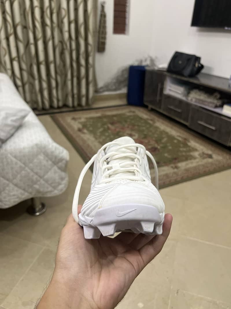 Nike FASTFLEX 1