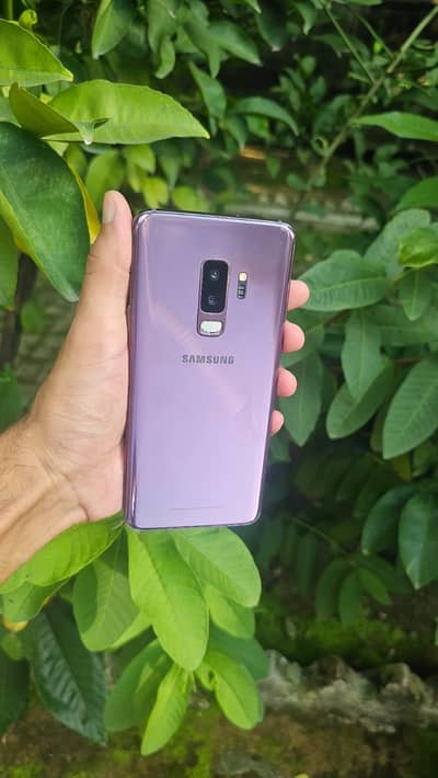 Samsung Mobile S9 Plus