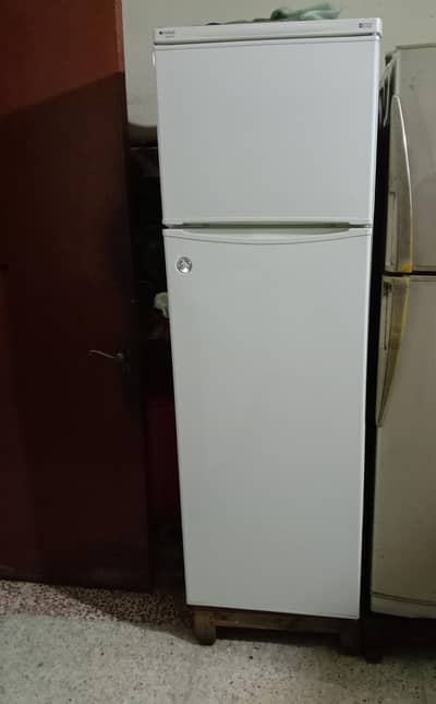 Refrigerator (Indesit Tropical company)