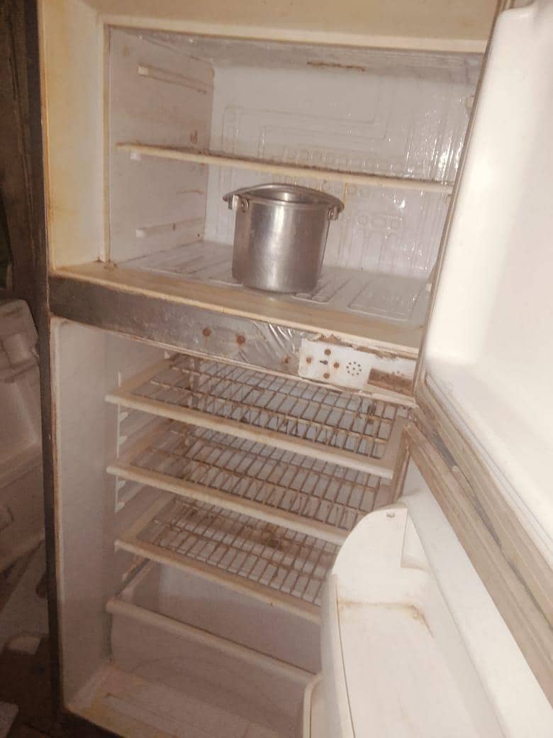 Waves fridge 4