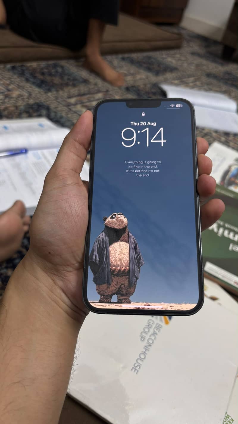 Apple iPhone 13 Pro Max 2
