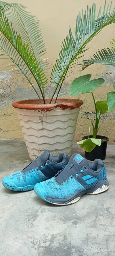Babolat pro pulse jogger for badminton and tannins