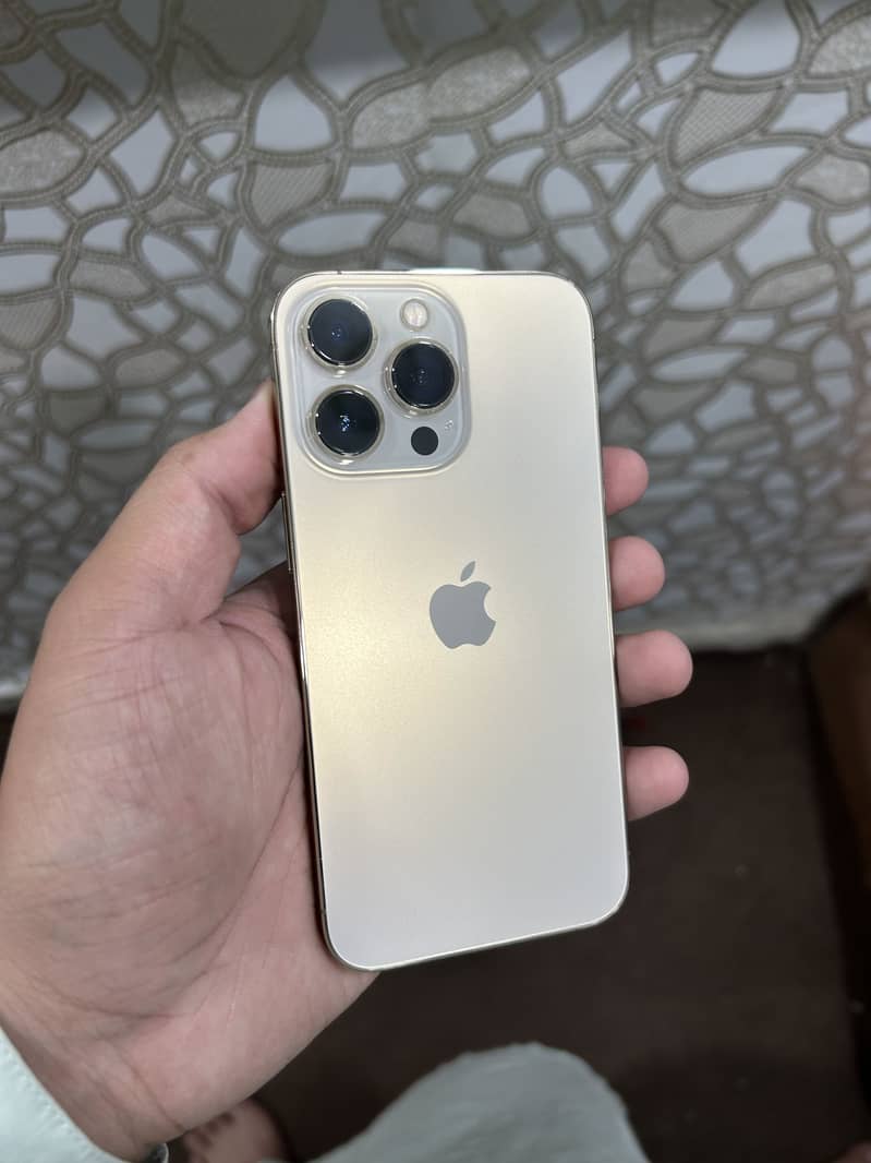 Apple iPhone 13 Pro 1