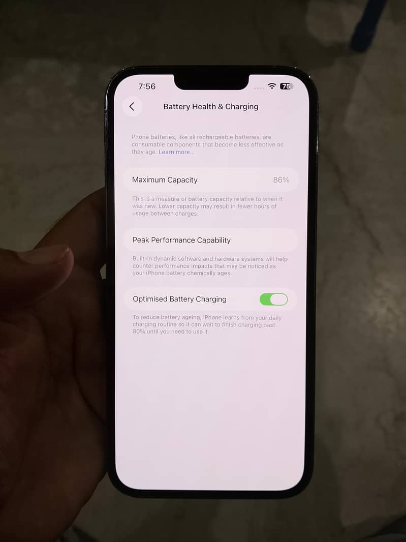 Apple iPhone 13 Pro Max 1