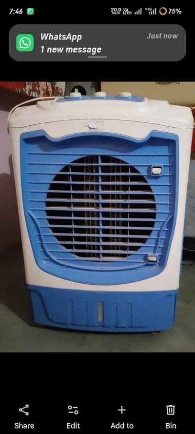 Cooler for seel