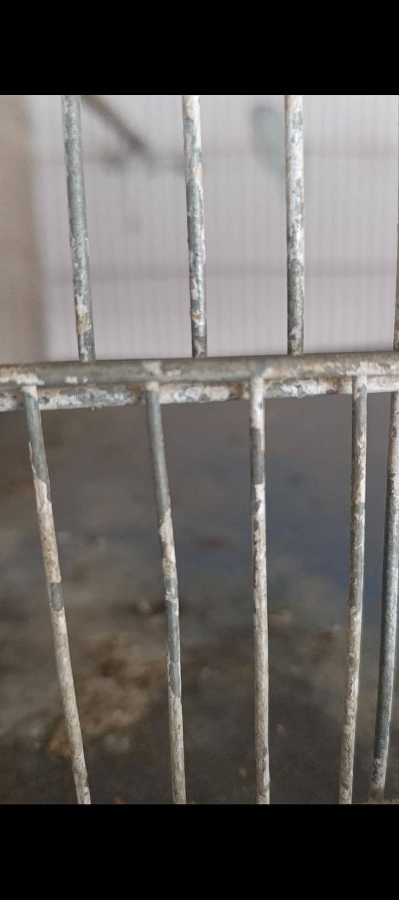 7 portion cage, 4