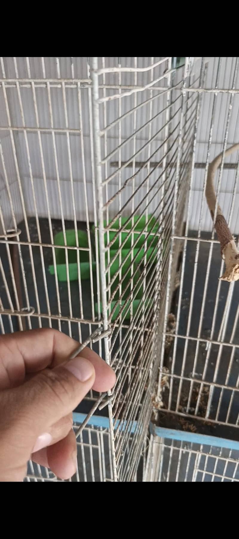 7 portion cage, 5