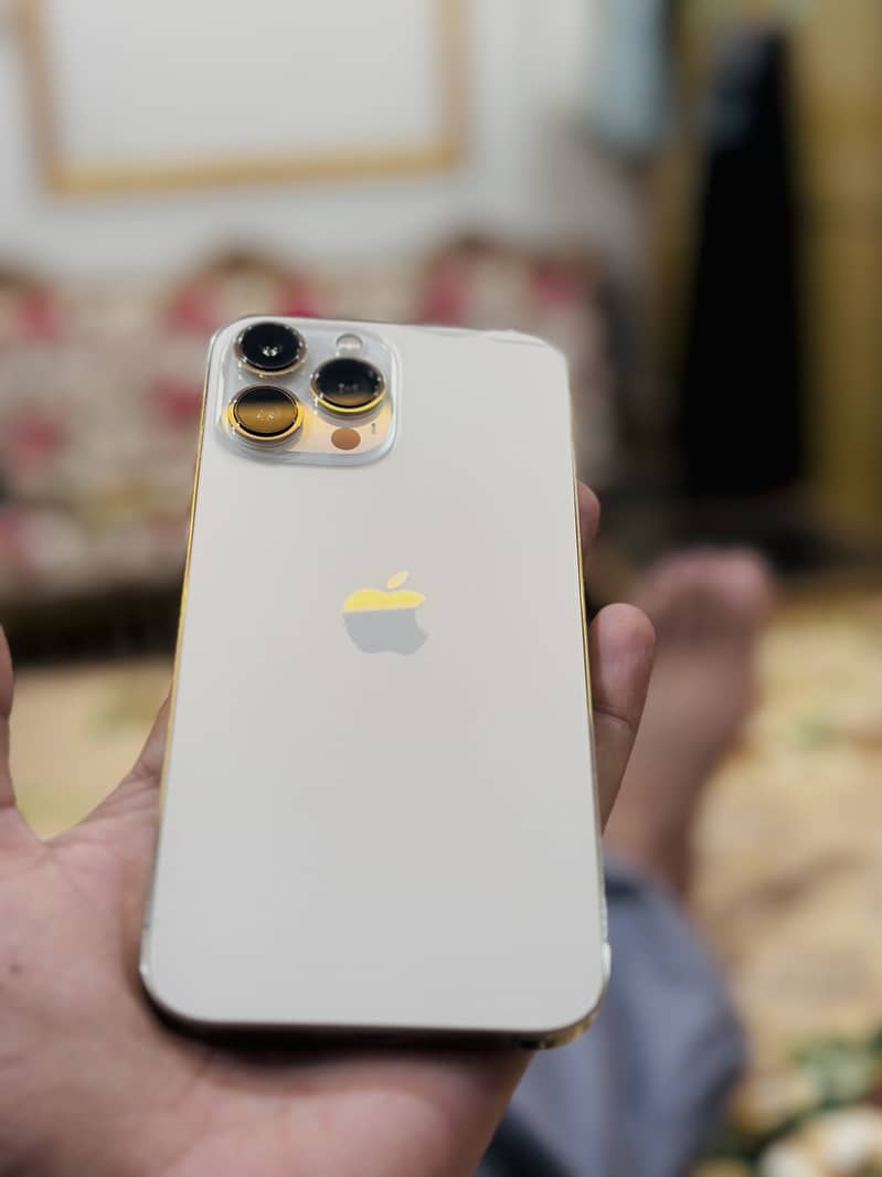 Apple iPhone 13 Pro Max 2