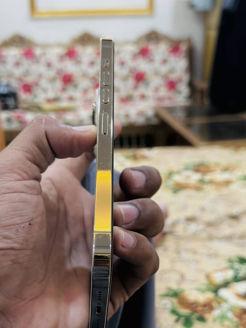 Apple iPhone 13 Pro Max 3