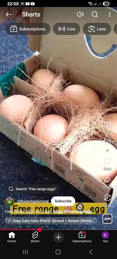 pure desi eggs . . . 100rs per egg. . .