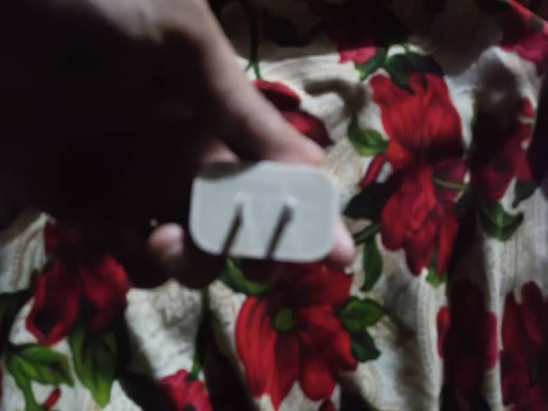 Apple type 2 adopter 1