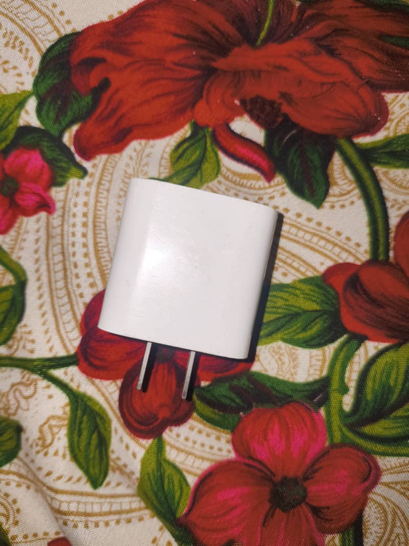 Apple type 2 adopter 3