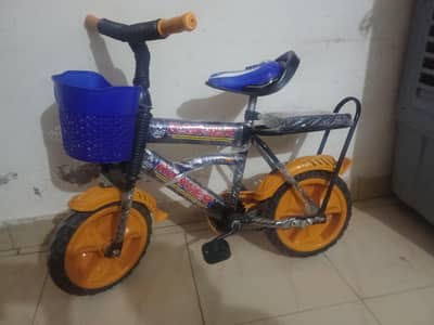 new sycle