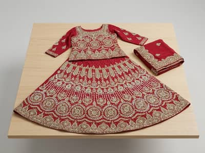 Bridal/Wedding Lehenga with Matching Heels – Like New