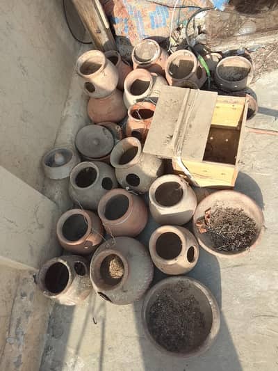birds accessories for breeding for sale