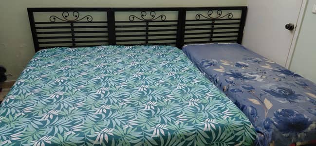 Iron Bed Single (Total 3)