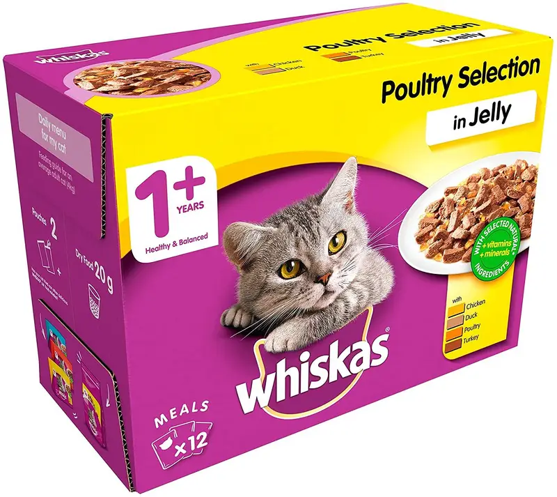pet food — photo 7