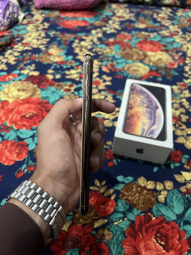 Apple iPhone XS Max 1