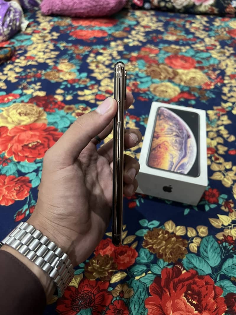 Apple iPhone XS Max 2
