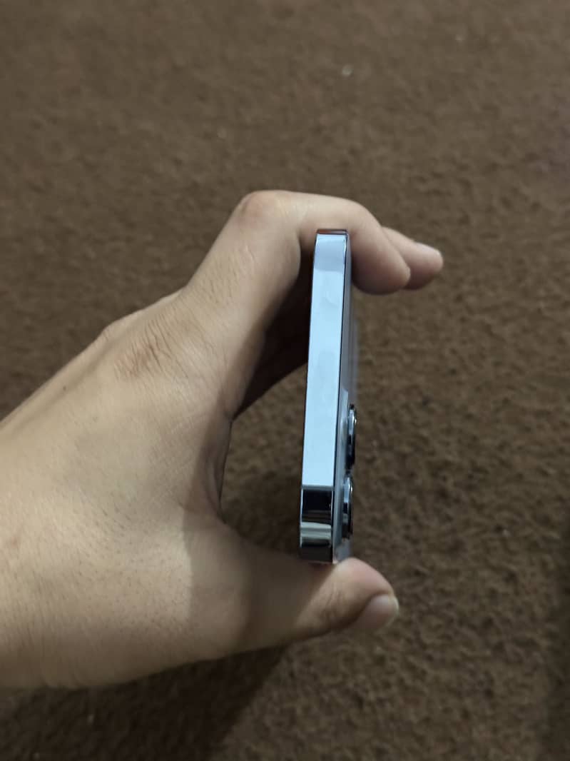 Apple iPhone 13 Pro Max 1