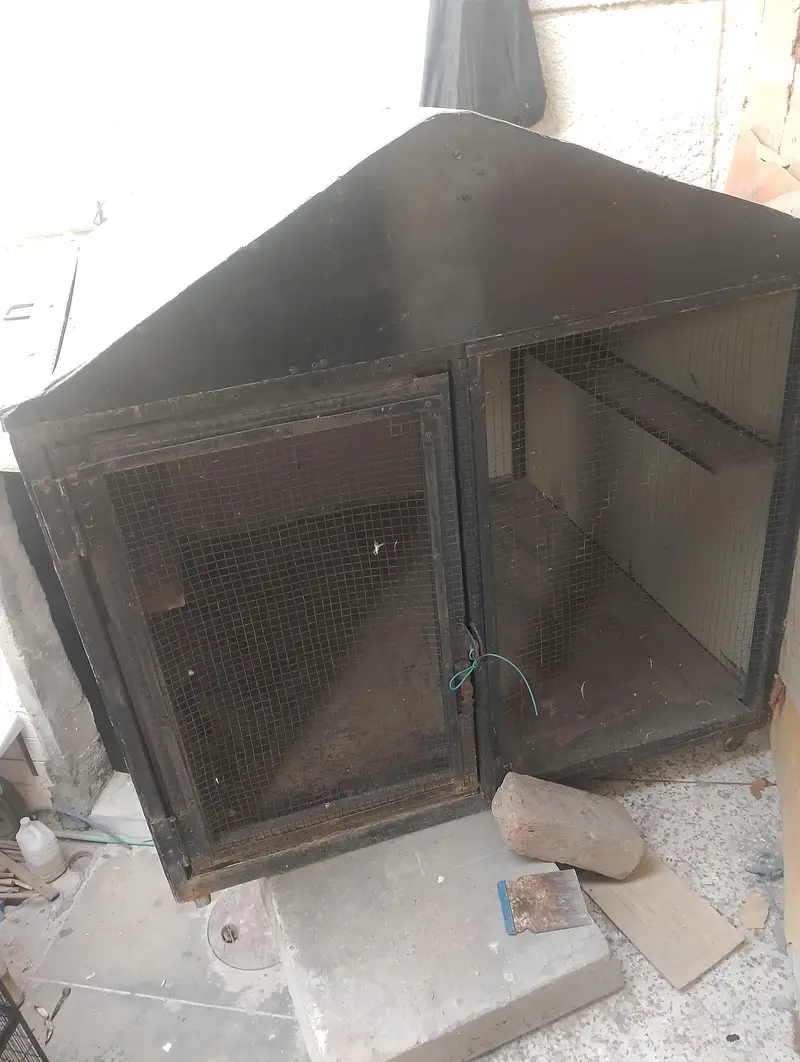 beautiful Cage for sale — photo 6