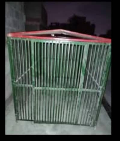big Cage