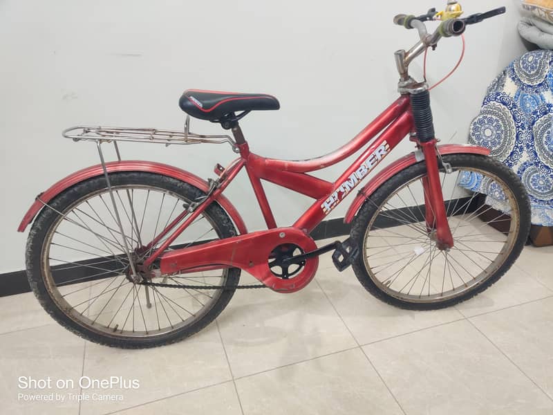 bicycle 2