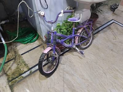 Morgan Cycle