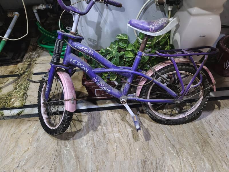 Morgan Cycle 1