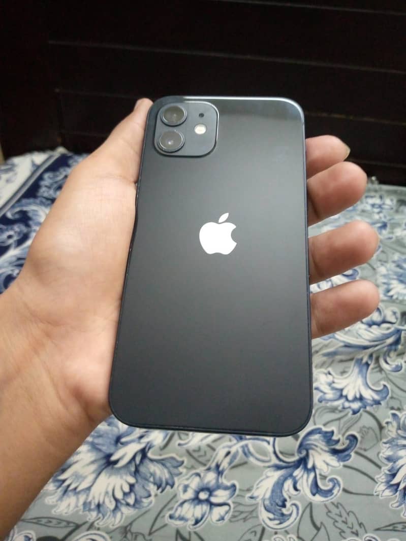 Apple iPhone 12 1