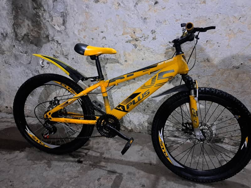 Cycle medium size 1