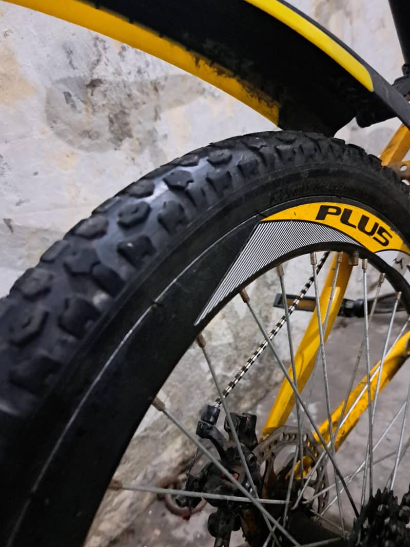 Cycle medium size 3