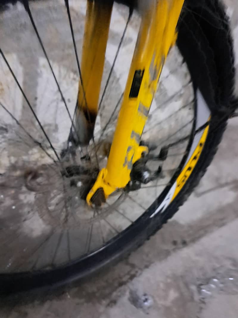Cycle medium size 7
