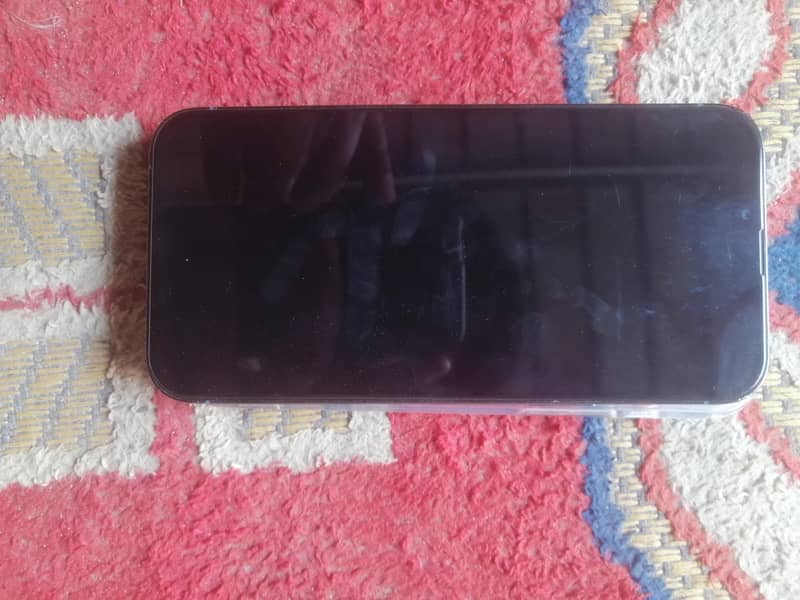 Apple iPhone 13 Pro Max 1
