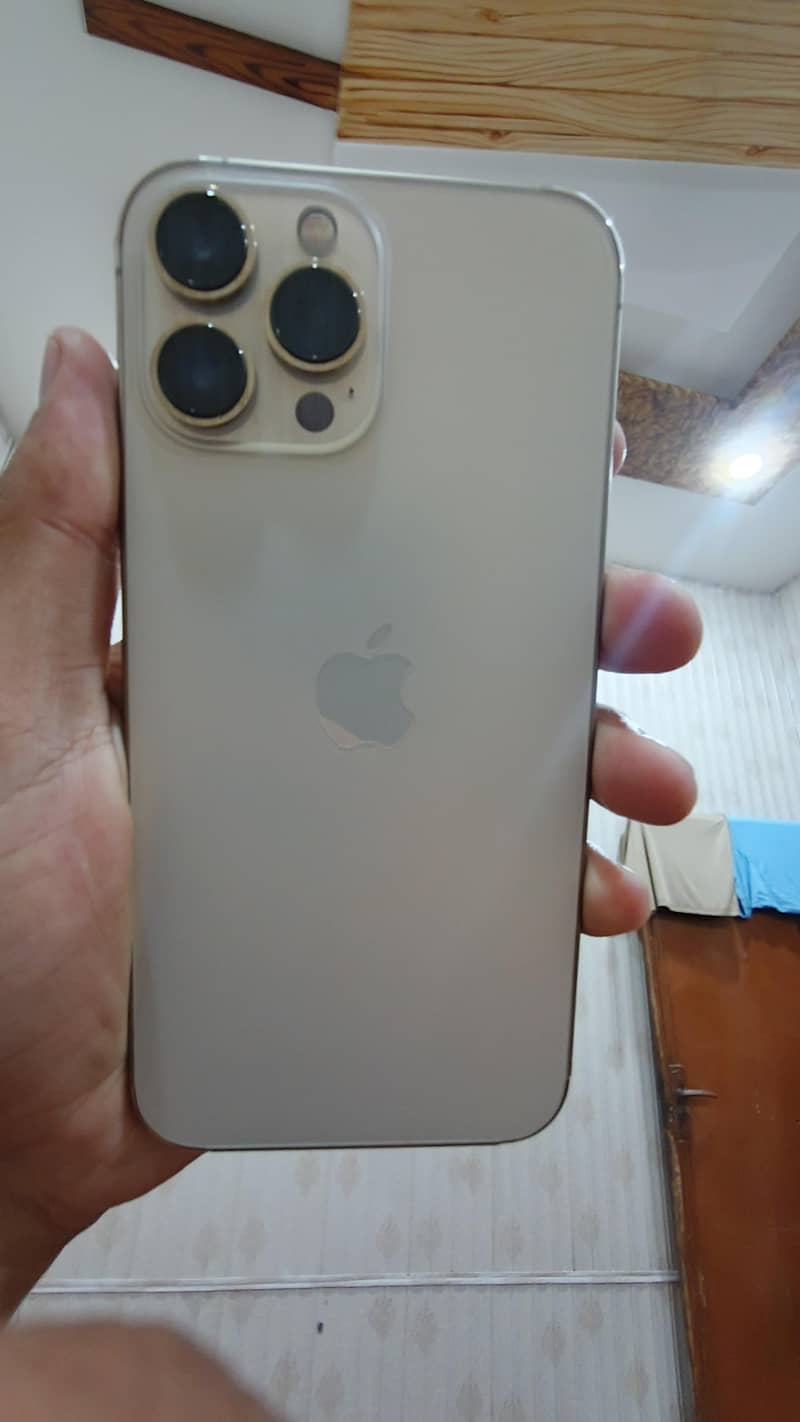 Apple iPhone 13 Pro Max 1