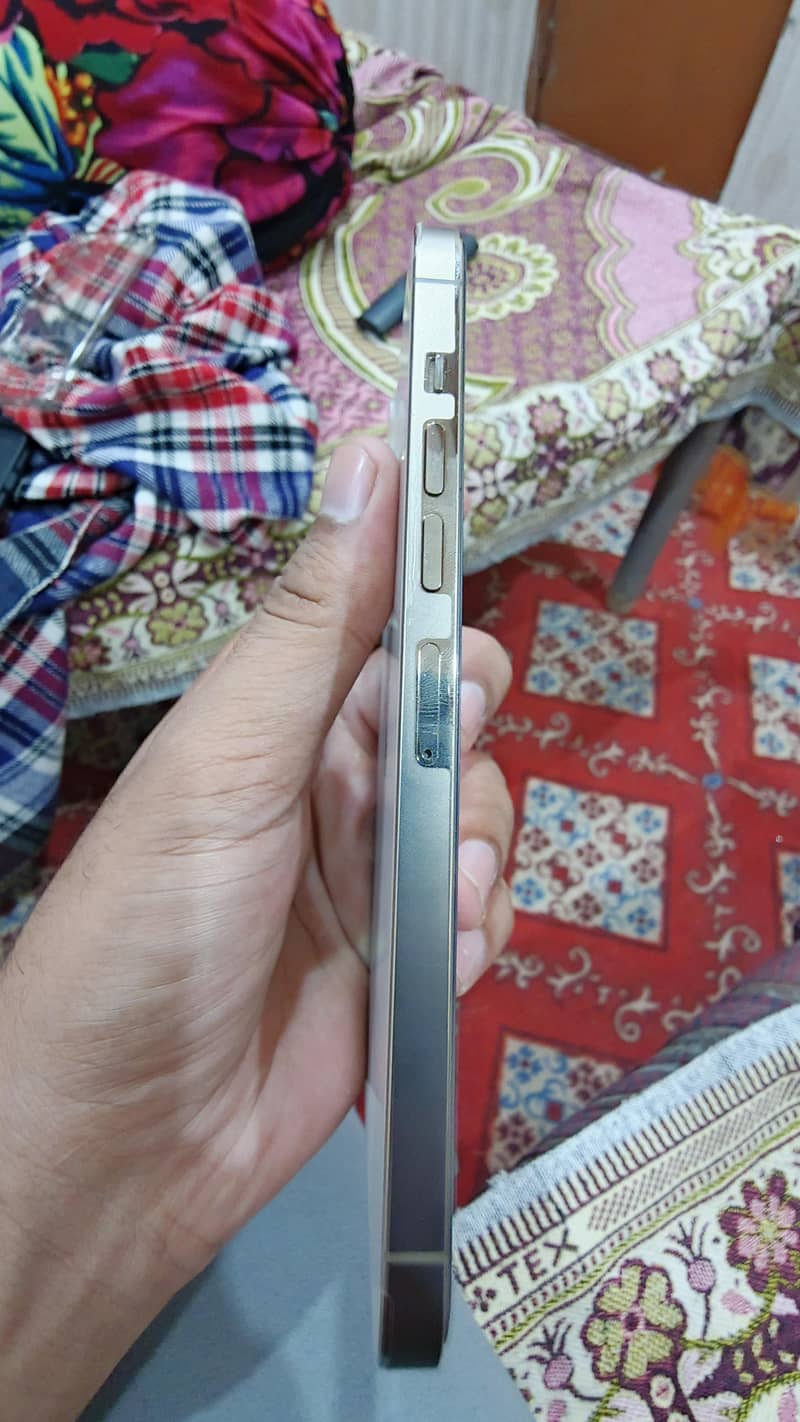 Apple iPhone 13 Pro Max 4