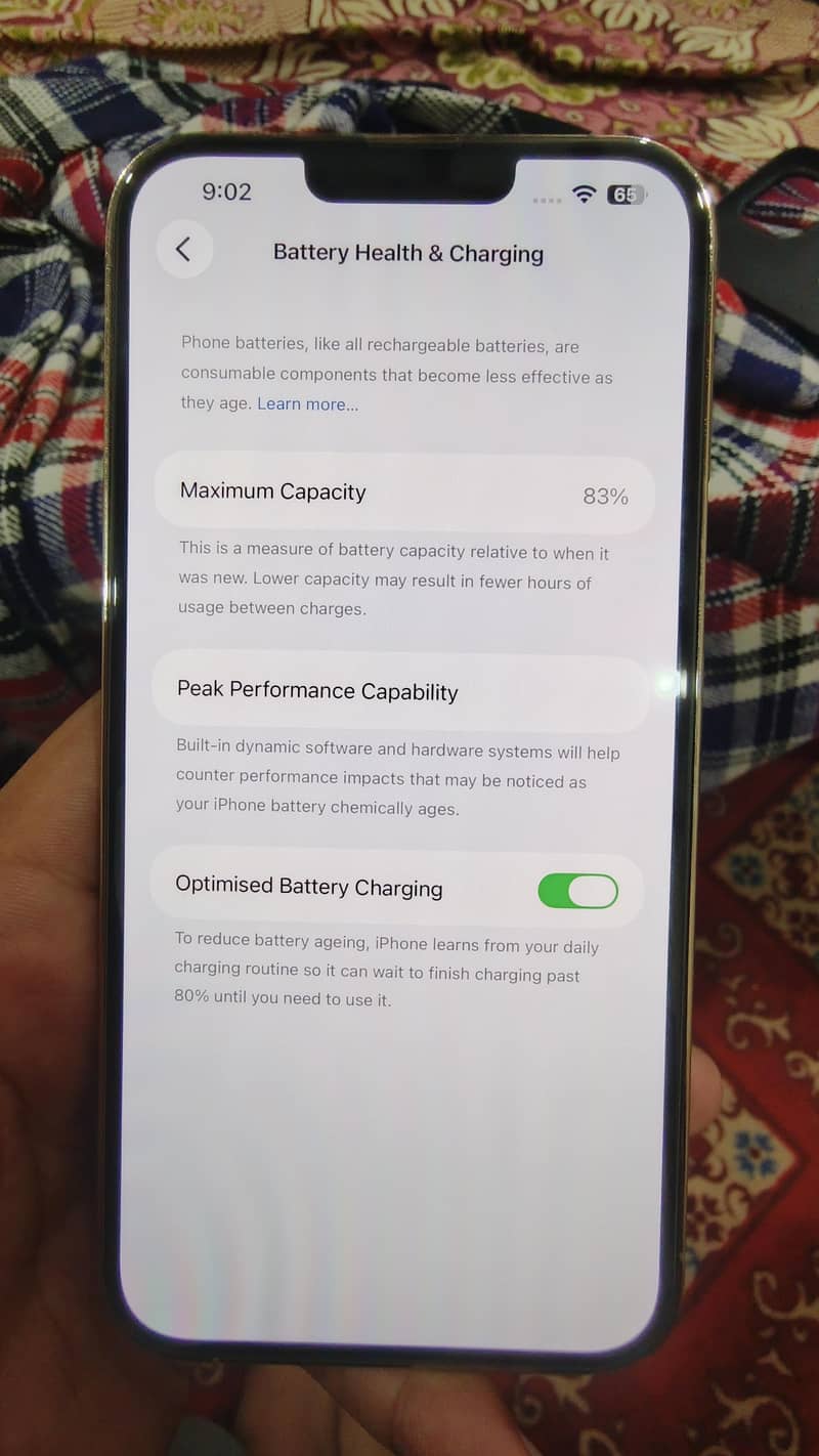 Apple iPhone 13 Pro Max 9
