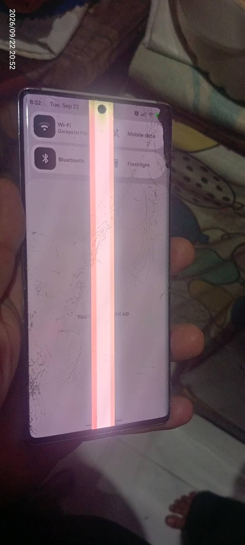 Google Pixel 6 Pro 1
